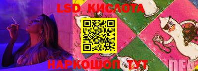 ECSTASY Новодвинск
