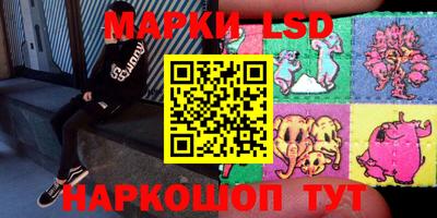 ECSTASY Новодвинск