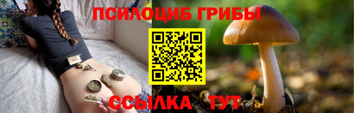 Псилоцибиновые грибы мицелий Полевской
