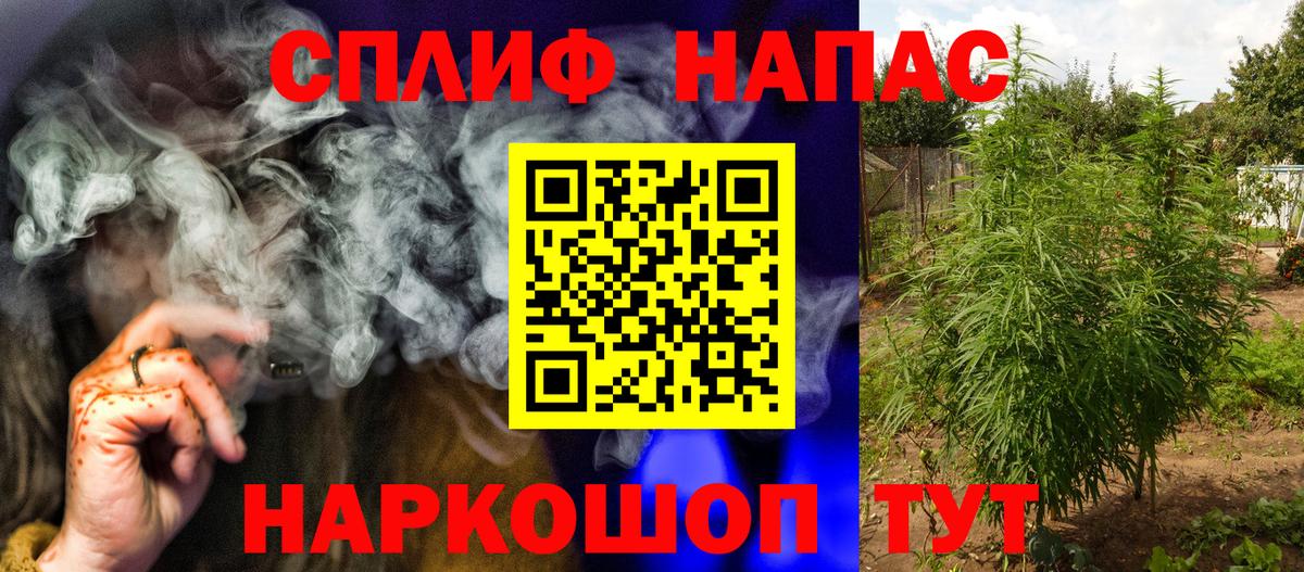 Каннабис конопля Полевской